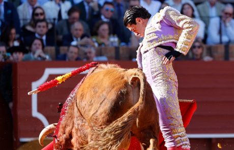 WhatsApp Image 2026-04-17 at 19.09.18