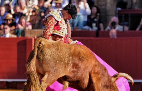 WhatsApp Image 2026-04-17 at 19.31.59