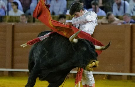WhatsApp Image 2026-06-11 at 23.39.26 (1)